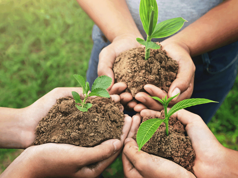 Kuvituskuvassa kolme ihmistä pitää taimia käsissään.